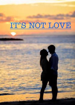 Read IT IS NOT LOVE  Novel PDF Online Step-by-Step