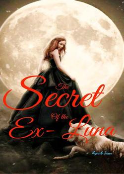 Read Secret of the Ex- Luna Novel by Aynab Jaan PDF Online Step-by-Step