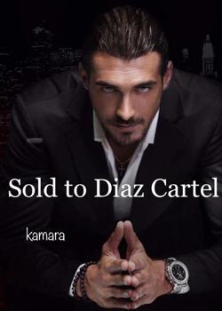 Read Sold to Diaz Cartel Novel by Author K.B PDF Online Step-by-Step