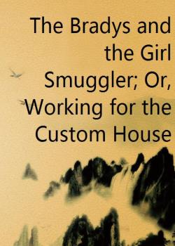 Read The Bradys and the Girl Smuggler; Or, Working for the Custom House Novel by Francis Worcester Doughty PDF Online Step-by-Step