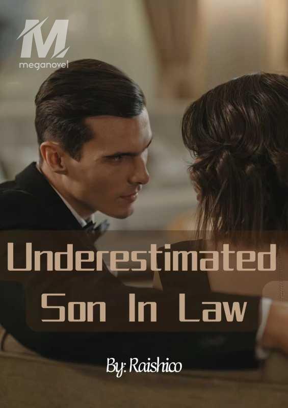 Underestimated Son In Law