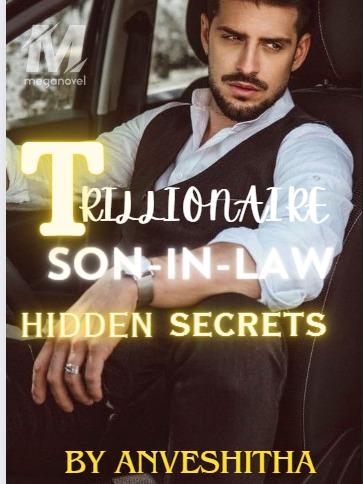 Trillionaire Son-in-law Hidden Secret