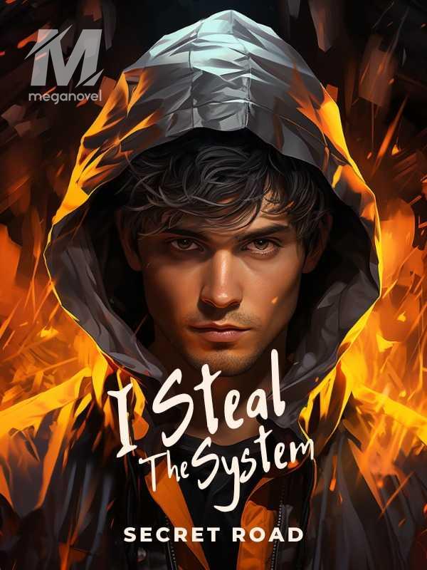 I Steal The System