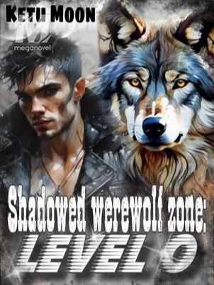 "Shadowed werewolf zone: Level 0"