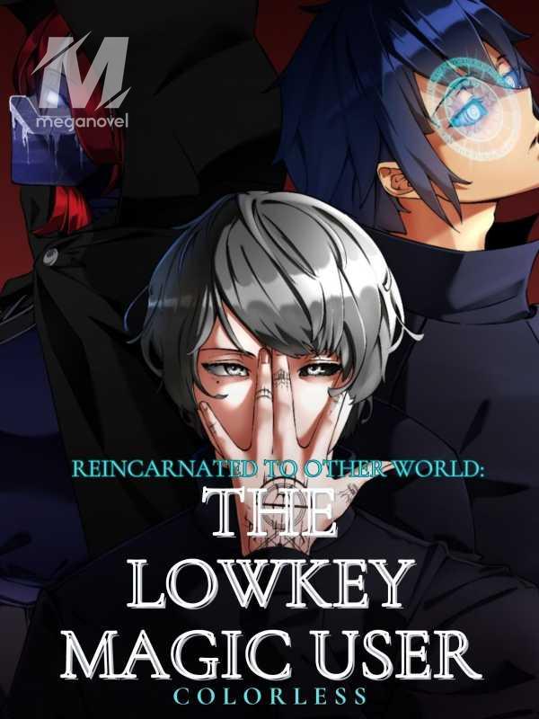 Reincarnated to Another World as: The Lowkey Magic User