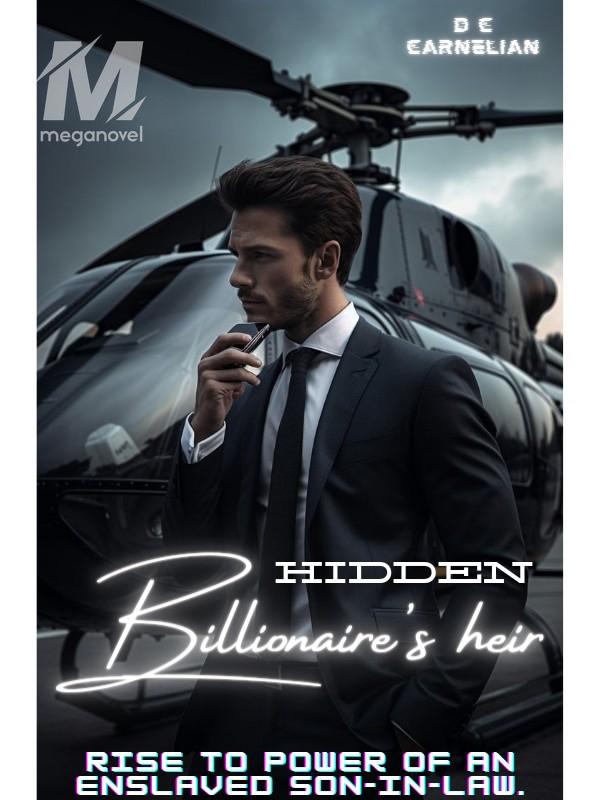 Hidden Billionaire's Heir