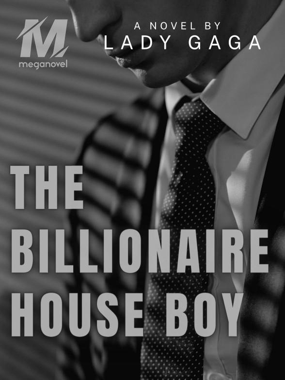 The Billionaire House Boy