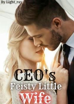 Read CEO’s Feisty Little Wife Novel by Light_ray PDF Online Step-by-Step