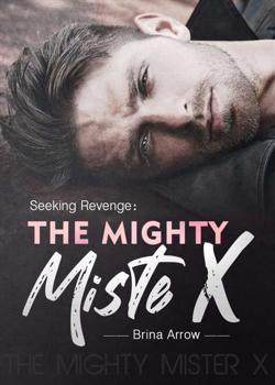 Read Seeking Revenge: The Mighty Mister X Novel by Rabbit PDF Online Step-by-Step