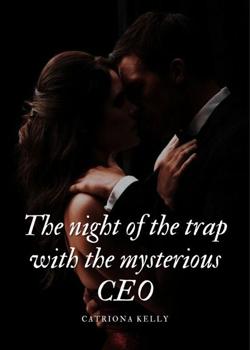 Read  The night of the trap with the mysterious CEO Novel by Catriona Kelly PDF Online Step-by-Step