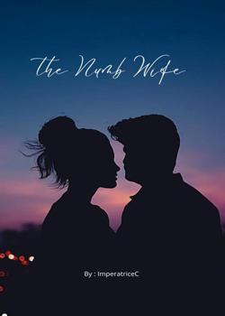 Read The Numb Wife Novel by ImperatriceC PDF Online Step-by-Step