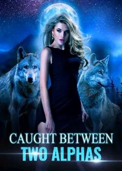 Read Caught between two alphas  Novel by Divah Dave PDF Online Step-by-Step