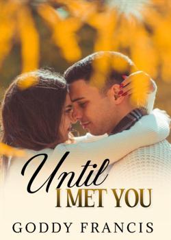 Read Until I Met You Novel by Goddy Francis PDF Online Step-by-Step