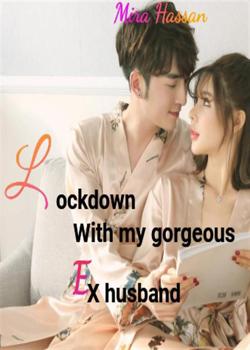 Read Lockdown With My Gorgeous Ex Husband Novel by Miramax PDF Online Step-by-Step