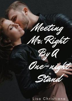 Read Meeting Mr. Right By A One-night Stand Novel by Lisa Christiana PDF Online Step-by-Step