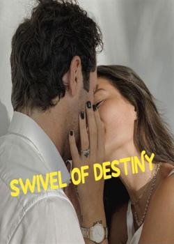 Read SWIVEL OF DESTINY  Novel by San_the diplomat  PDF Online Step-by-Step