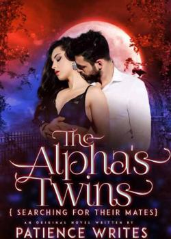 Read The Alpha’s Twins  Novel by Patience Writes1 PDF Online Step-by-Step