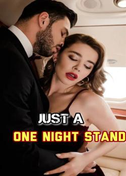 Read Just A One Night Stand Novel by Author Alice PDF Online Step-by-Step