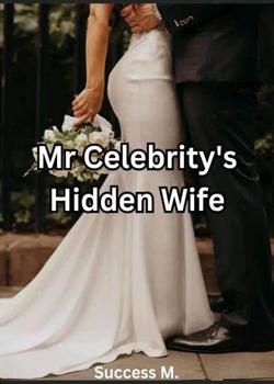 Read Mr Celebrity’s Hidden Wife  Novel by Success M.  PDF Online Step-by-Step