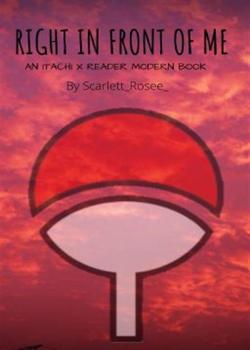 Read The Biography of the Uchiha  Novel by IFECHI PDF Online Step-by-Step