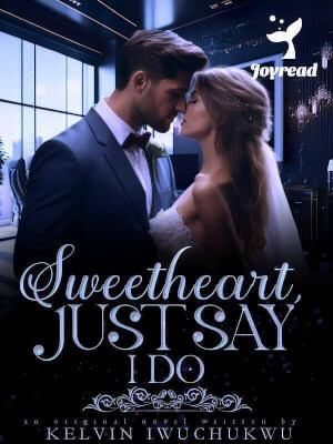 Read Sweetheart, Just Say I Do Novel PDF Free Online Step-by-Step