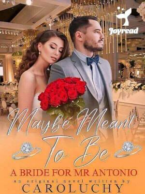 Read Maybe Meant To Be: A Bride For Mr Antonio Novel PDF Free Online Step-by-Step