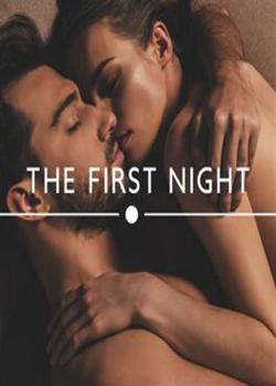 Read The First Night  Novel by Ikhuoria Precious PDF Online Step-by-Step