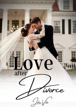 Read Love after Divorce (Mason and Paige) Novel by Joha ViBa PDF Online Step-by-Step