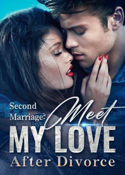 Read Second Marriage: Meet My Love After Divorce Novel by Pumpkin Witch PDF Online Step-by-Step