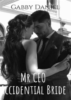 Read Mr CEO Accidental Bride  Novel by Gabby Daniel PDF Online Step-by-Step