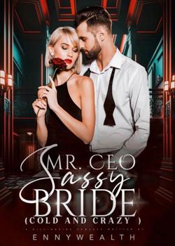 Read Mr. CEO Sassy Bride Novel by Ennywealth PDF Online Step-by-Step