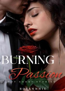 Read Burning Passion(Er*tic short stories) Novel by Roxannnie PDF Online Step-by-Step