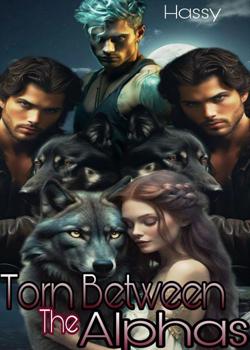 Read Torn Between The Alphas. Novel by Author Hassy PDF Online Step-by-Step