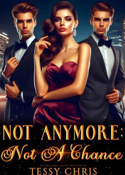 Read Not Anymore  Novel by Tessychris PDF Online Step-by-Step