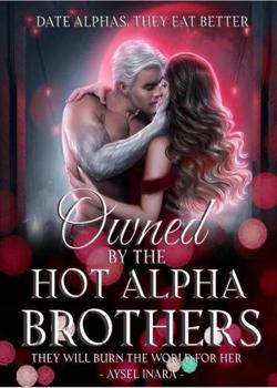 Read Owned By The Alpha Brothers Novel by Aysel Inara PDF Online Step-by-Step