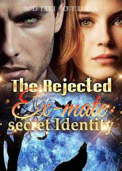 Read The Rejected Ex-mate secret Identity Novel by Ideaink Six Cats PDF Online Step-by-Step