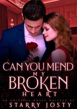 Read Can you mend my broken heart? Novel by Starry Josty PDF Online Step-by-Step